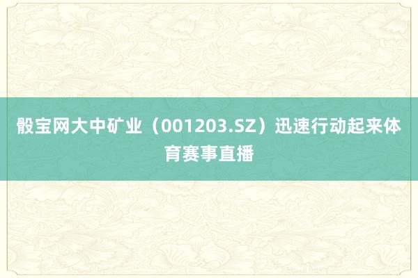 骰宝网大中矿业（001203.SZ）迅速行动起来体育赛事直播