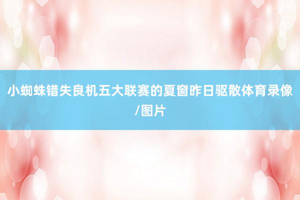 小蜘蛛错失良机五大联赛的夏窗昨日驱散体育录像/图片
