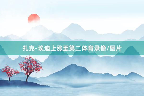 扎克-埃迪上涨至第二体育录像/图片