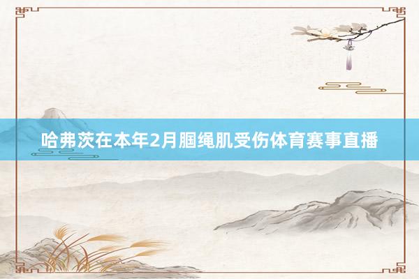 哈弗茨在本年2月腘绳肌受伤体育赛事直播
