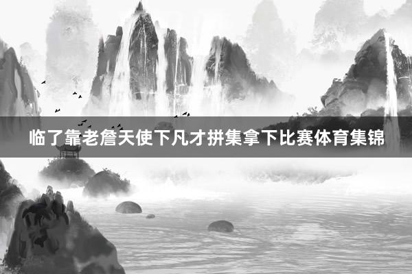 临了靠老詹天使下凡才拼集拿下比赛体育集锦