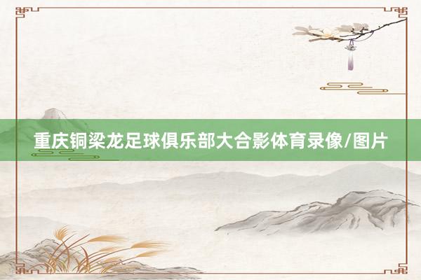 重庆铜梁龙足球俱乐部大合影体育录像/图片
