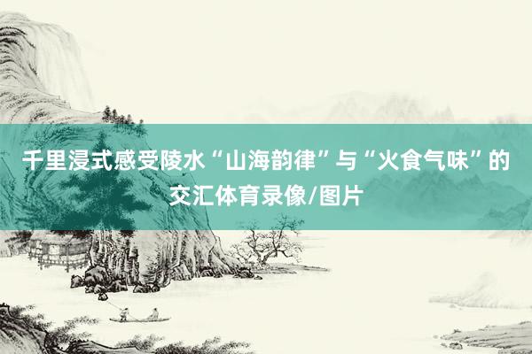 千里浸式感受陵水“山海韵律”与“火食气味”的交汇体育录像/图片
